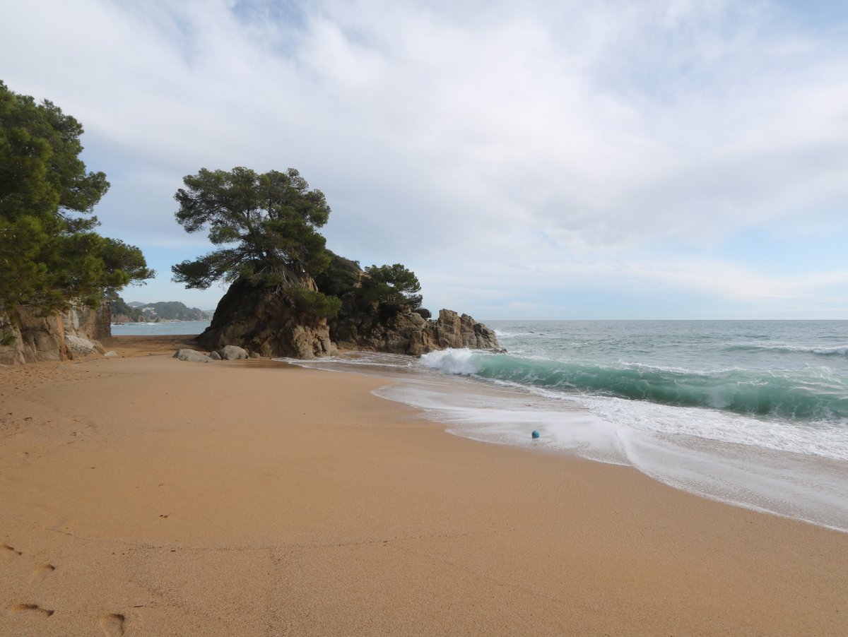 Blanes. Treumal Bay