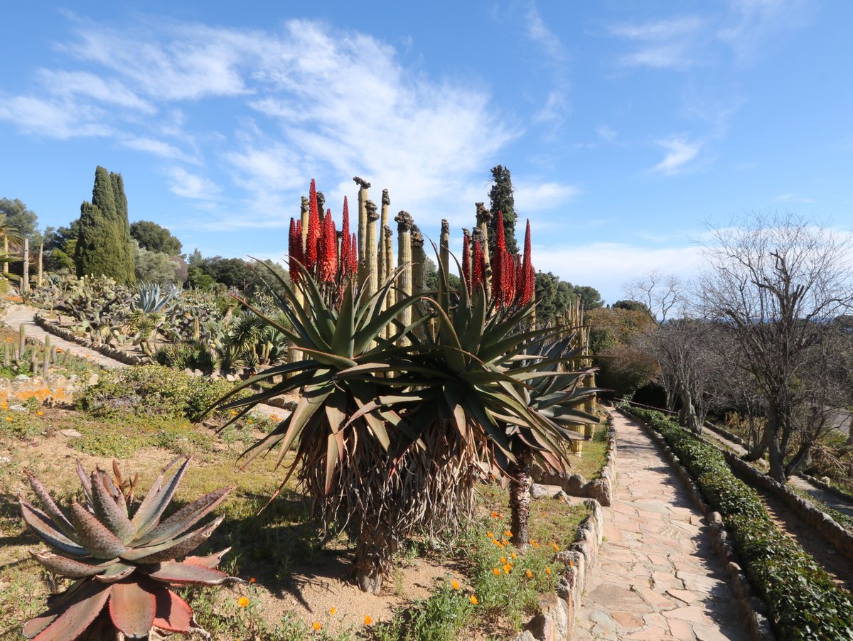 Blanes. Pinya de Rosa Botanical Garden