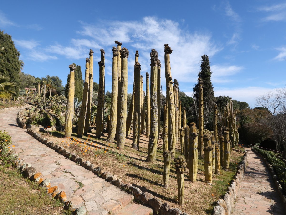 Blanes. Pinya de Rosa Botanical Garden