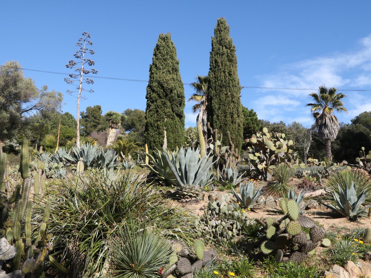 Blanes. Pinya de Rosa Botanical Garden