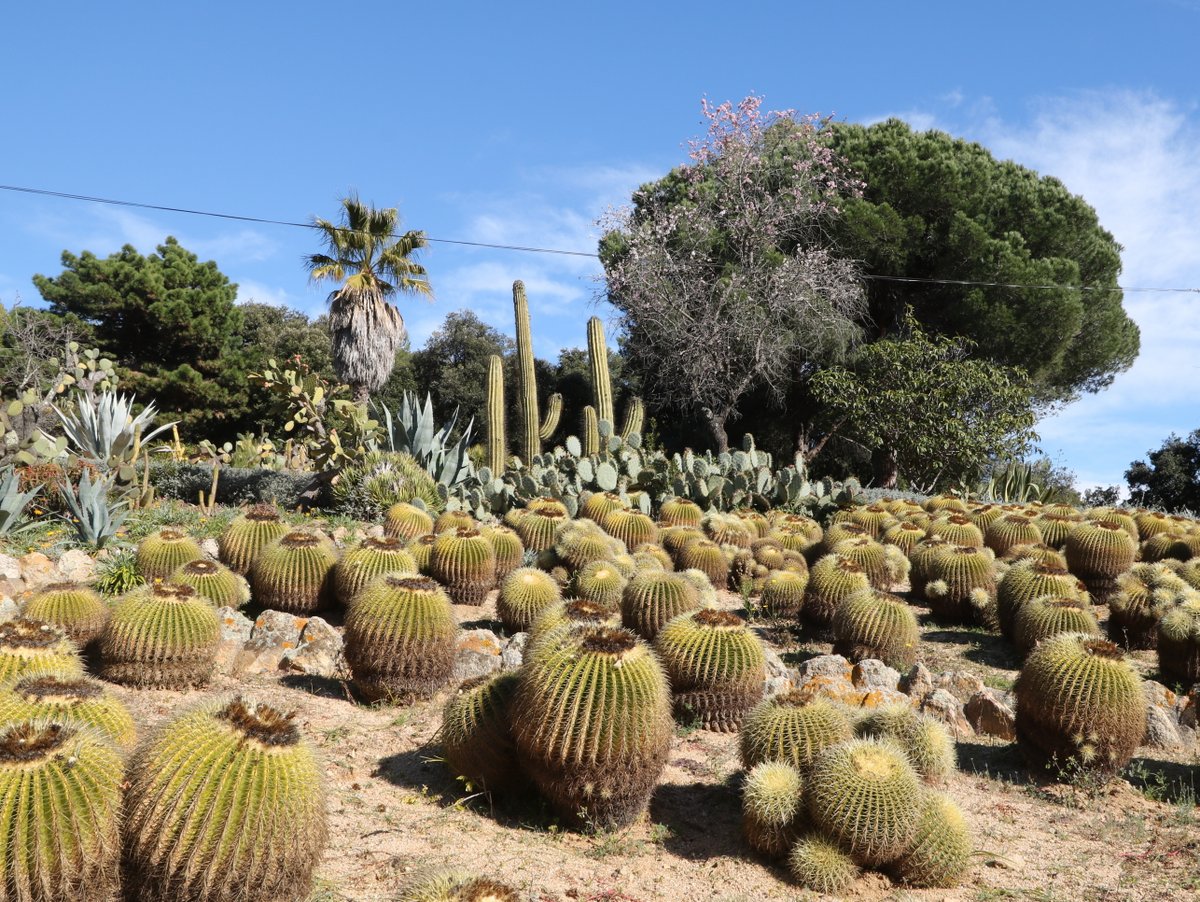 Blanes. Pinya de Rosa Botanical Garden