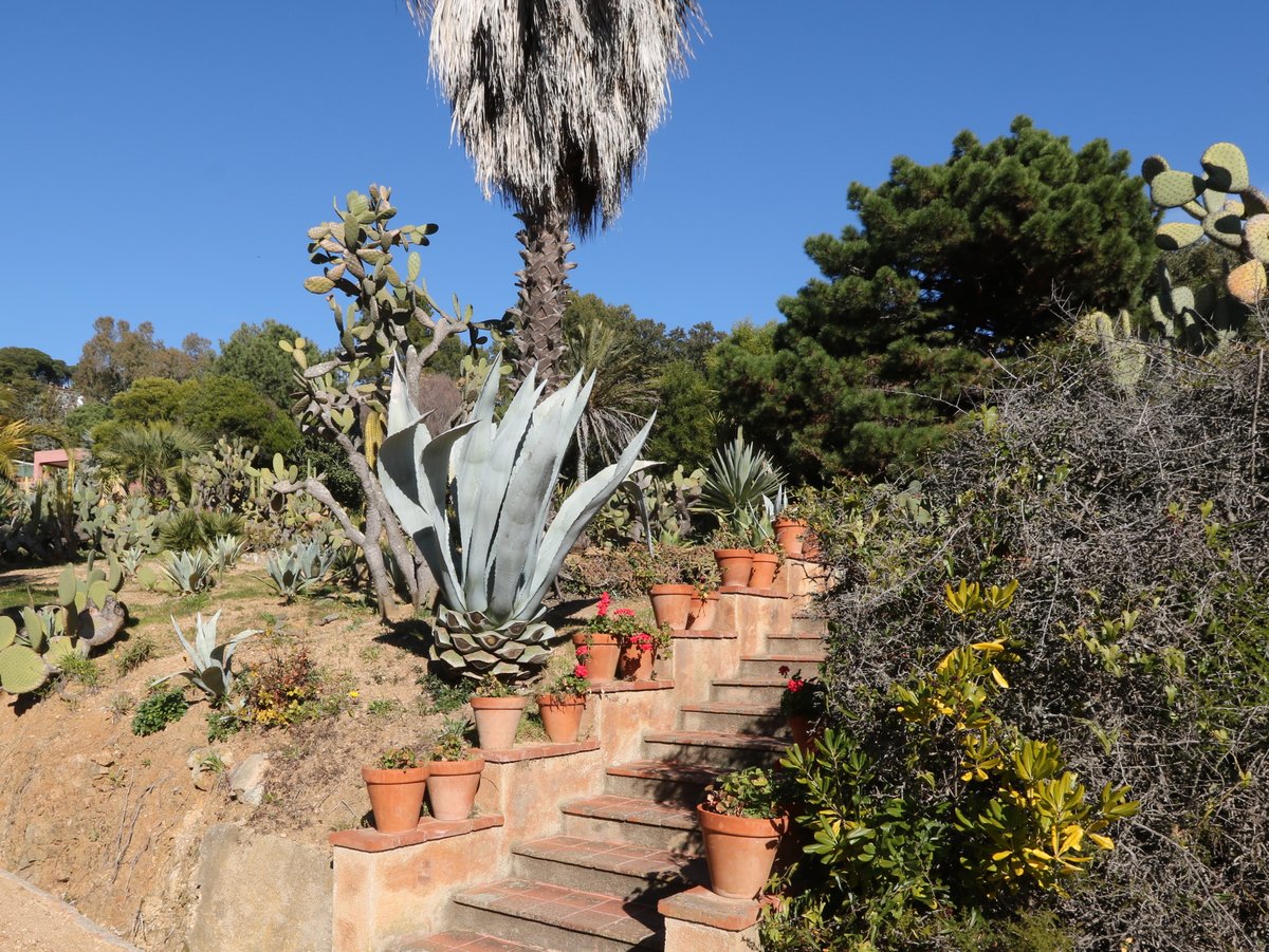 Blanes. Pinya de Rosa Botanical Garden