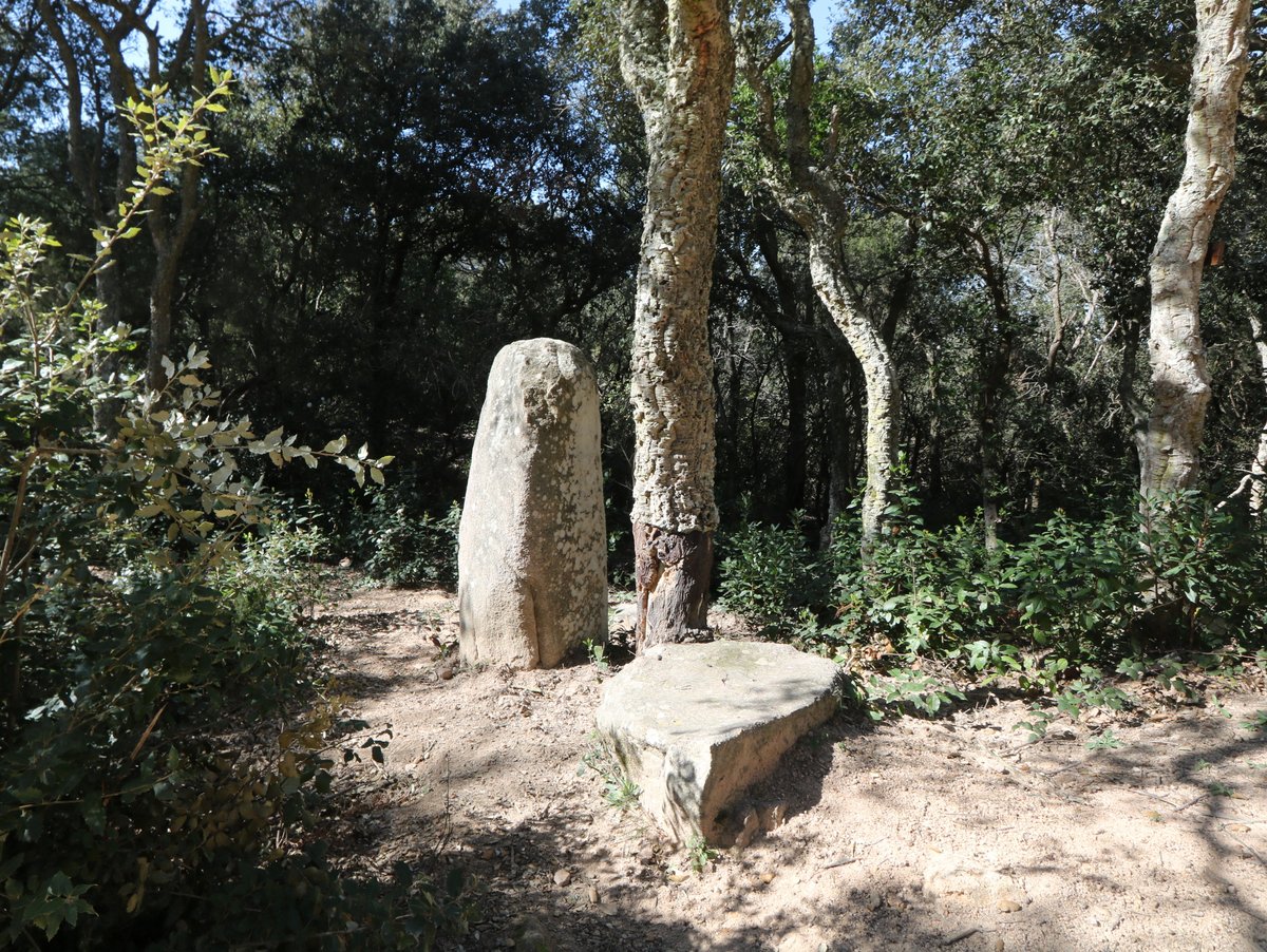 Tossa de Mar. The Menhir of Llach