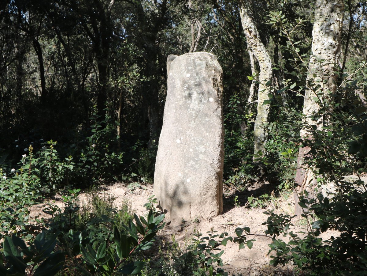 Tossa de Mar. The Menhir of Llach