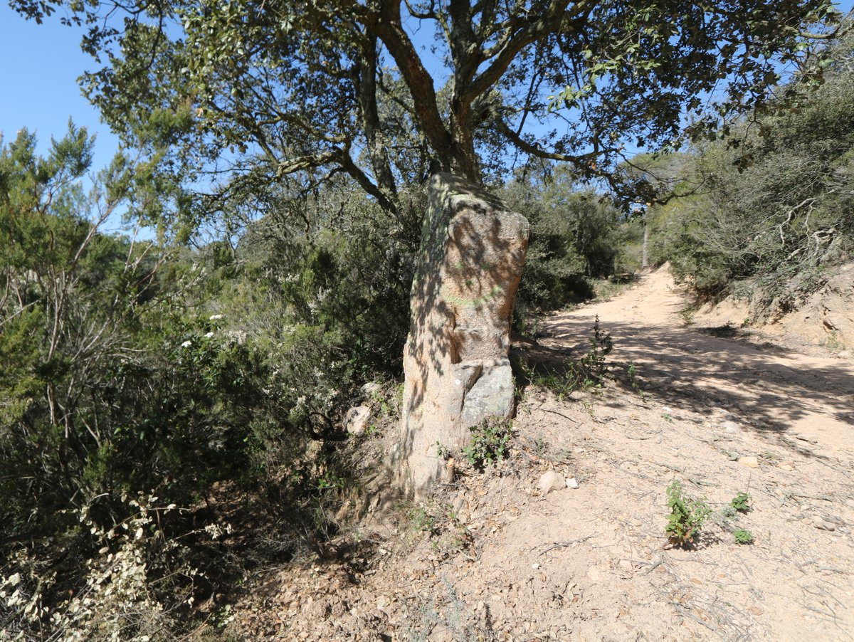 Tossa de Mar. The Menhir of Montllor