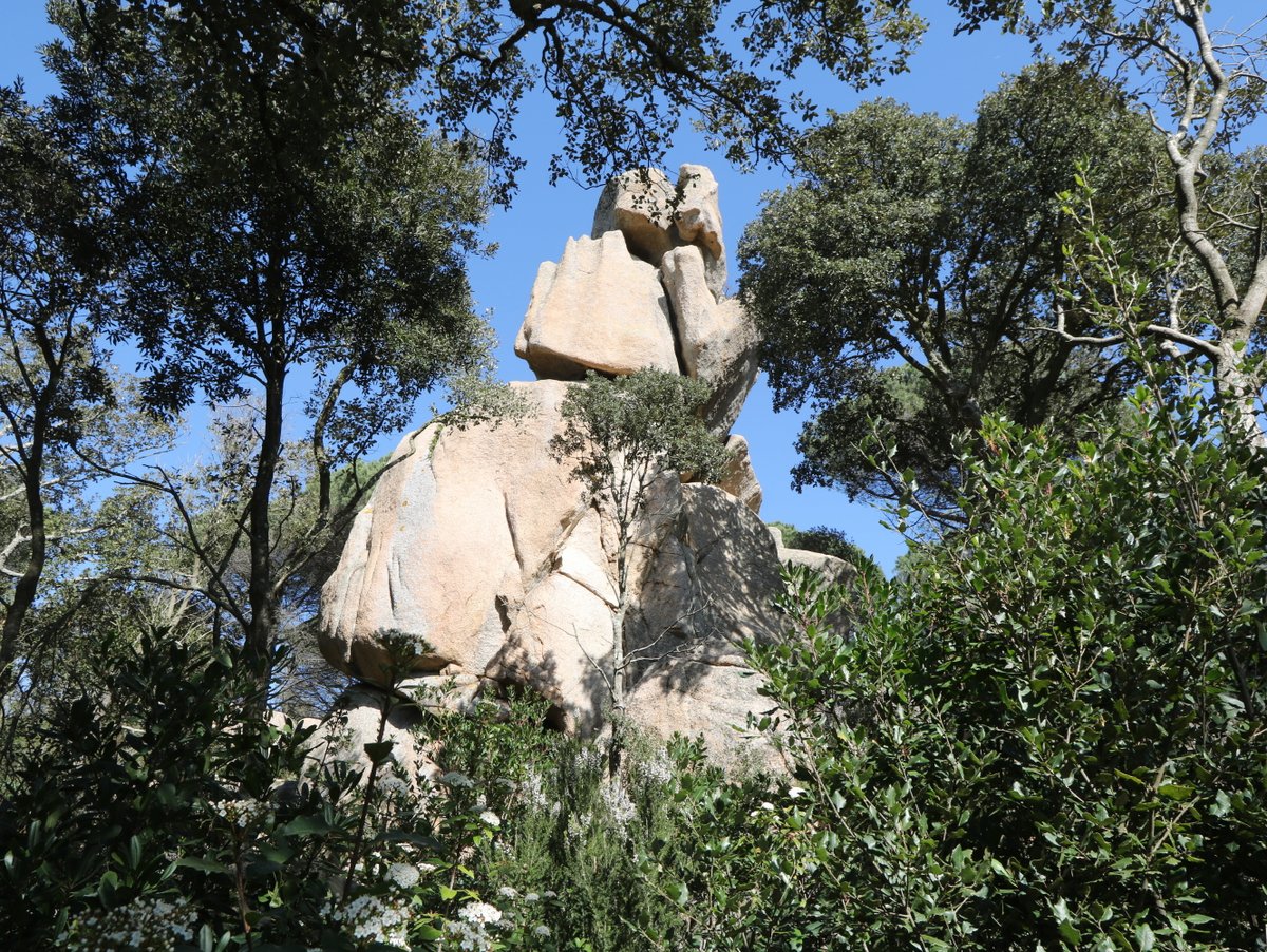 Tossa de Mar. The Paradolmen of Pedra sobre Altra