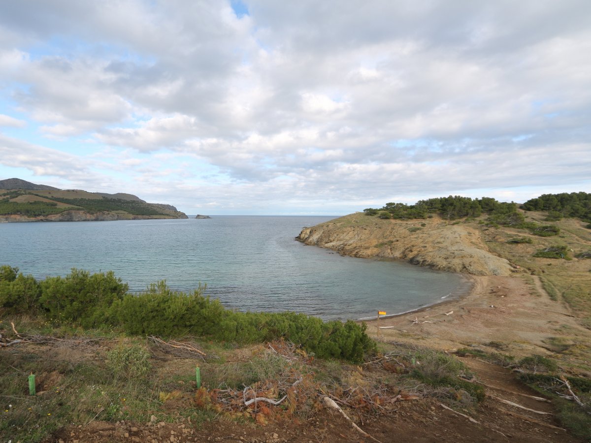 Colera. El Borró Gran Beach