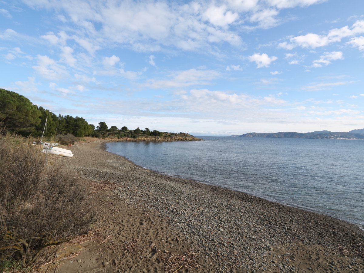 Llançà. Canyelles Beach