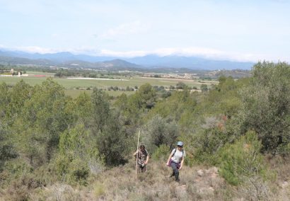 Alt Empordà, route 8: Peralada – Cabanes (Itinerànnia)
