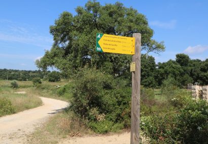 Capmany megalithic itinerary (Itinerànnia)