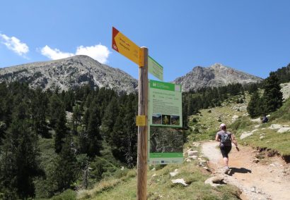 Vallter 2000 – The Source of the River Ter