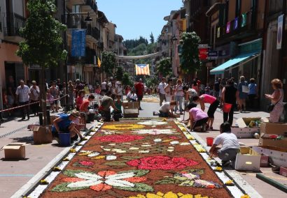 Arbúcies Festival of Enramades