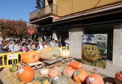 Pumpkin Fair