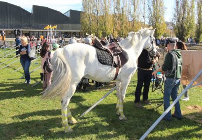The Fair of Sant Martirià in Banyoles