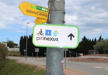 Pirinexus