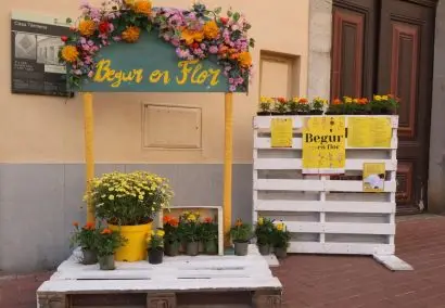 Бегур в цветах