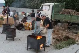Traditional Sowing of Rice in Pals