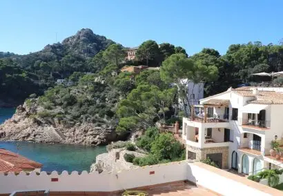 Fornells-Made Dynamite