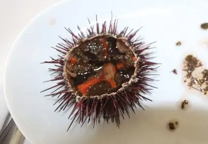 Garoinada in Palafrugell, Costa Brava