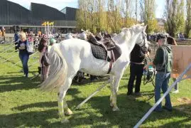 Festa Major de Blanes (Saint Anna’s Day)