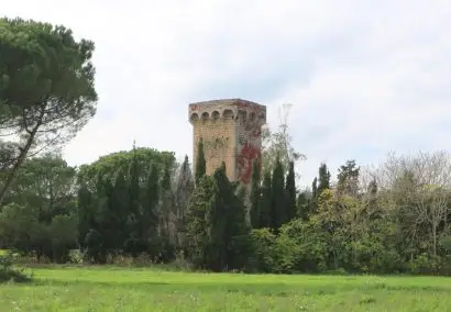 Дорога маленького поезда