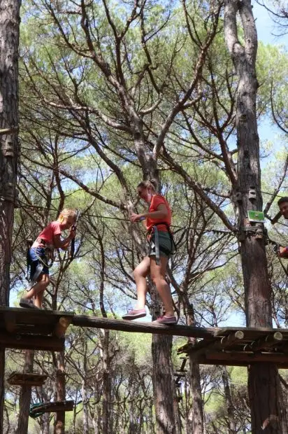 Activities & Fitness