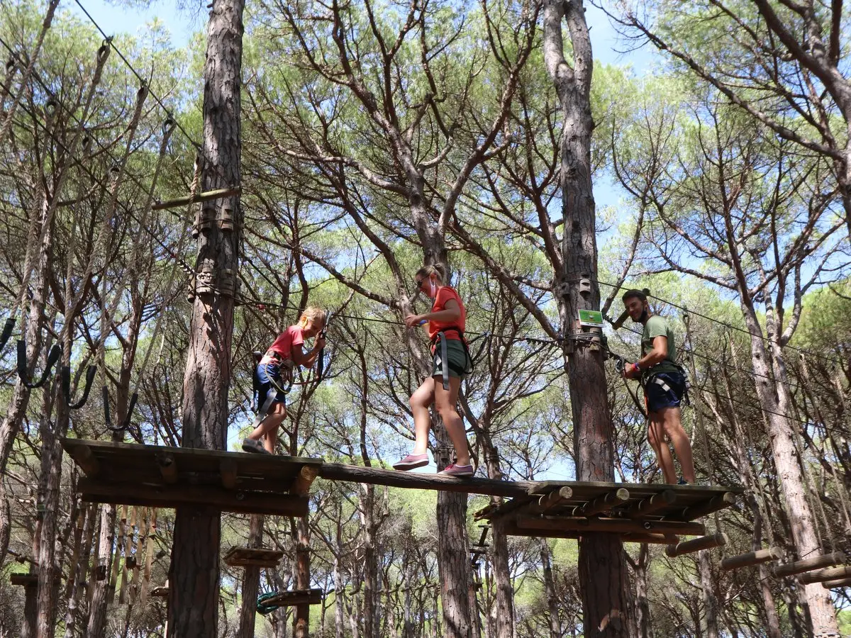 Activities & Fitness