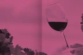 Catifes de Flors de Corpus (“Corpus Christi Flower Carpets”)