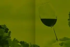 Vívid